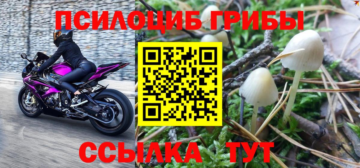 Карабулак  Псилоцибиновые грибы GOLDEN TEACHER  Вход с VPN 
